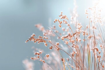 Fresh Spring Greenery with Warm Light Effect