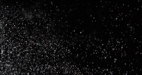 Dust particles or white snow scatter haphazardly through the air and shimmer in the spotlight, isolated on a black background. Background with overlay effect.