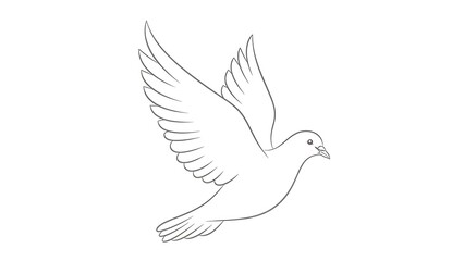 Fototapeta premium Simple Line Drawing of Dove in Flight.