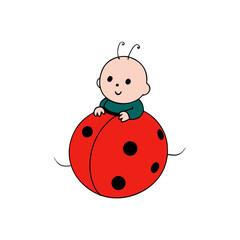 ladybug on white background