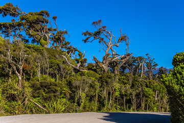  Travel to the ends of the world