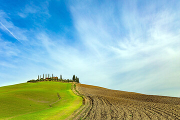 Fields after the harvest.