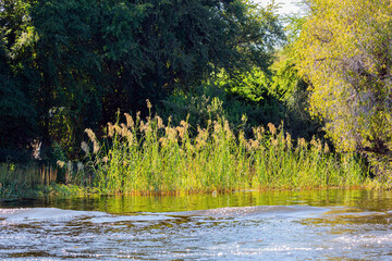 The Chobe River.