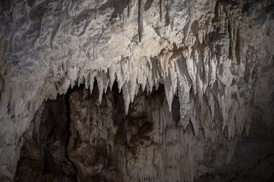 Stalactites in a stalactite cave, Terciopelo Cave, Barra Honda National Park, Costa Rica