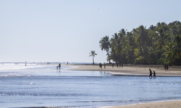 Marino Ballena National Park, South Pacific beach and sea, Puntarenas province, Osa, Costa Rica