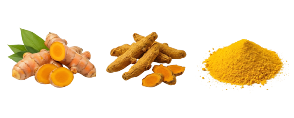 Fresh turmeric roots, sun-dried and bright yellow turmeric powder piles isolated on transparent background