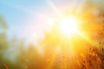 Golden Morning Light Over Fresh Nature Scene