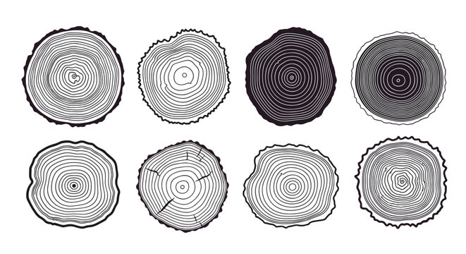 Selection of eight different wood log cross sections showing detailed tree rings and bark textures for a natural and rustic aesthetic.