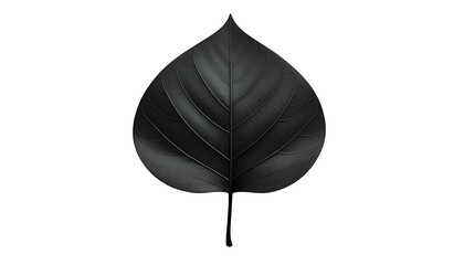 Single, stylized dark leaf with central vein, detailed texture, against stark black background