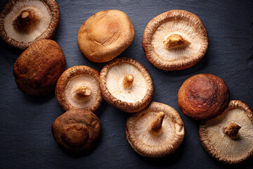 Fresh shiitake mushrooms on dark surface. Black background. Close up.