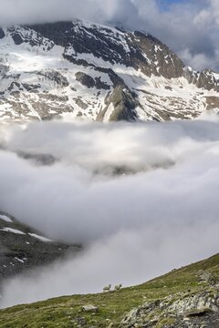Two sheep on a mountain meadow in front of a mountain landscape, high fog in the valley, behind mountain peak Dosso Largo and glacier Schlegeiskees, Berliner H&ouml;henweg, Zillertal Alps, Tyrol, Austria