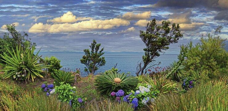 Colourful garden with a view of the sea and a cloudy sky in the background, lava rocks coastal path Ponta da Iiha, Calhau, west coast, Pico, Azores
