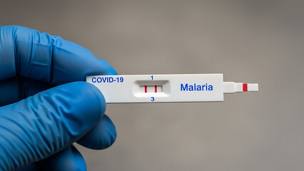 Obraz premium Positive COVID-19 and Malaria rapid diagnostic test kit