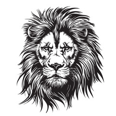 Lion portrait lion head sketch engraving style Wild animals