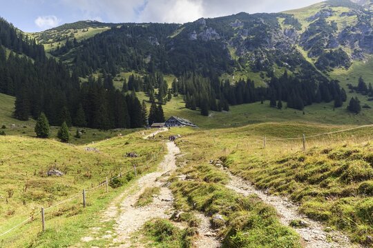 Hiking trail, Jubil&auml;umsweg, behind Willersalpe, near Hinterstein, Bad Hindelang, Oberallg&auml;u, Allg&auml;u, Bavaria, Germany