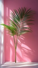 Two vibrant green palm fronds grace a pink wall with sheer white curtains and sunlit window shadows