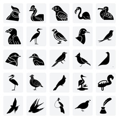 Obraz premium Illustrations Of Wild Birds – Featuring Birds Of Prey, Seabirds, And Songbirds For Environmental And Zoological Designs.