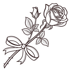 Obraz premium Rose Flower Wrapped With Ribbon Elegant