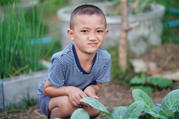 Young Boy Engaged in Gardening, Exploring Plants in a Fresh Green Vegetable Garden, Nurturing Nature and Learning About Organic Growth