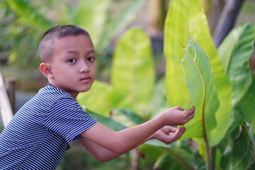 Young boy interacting with green leaves in a lush garden, showcasing curiosity and connection with nature, vibrant colors and serene atmosphere