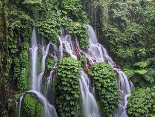 waterfall in the forest
