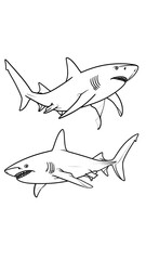 Two black and white shark drawings
