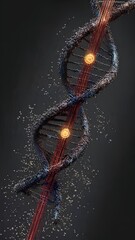 the DNA double helix being modified