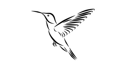 Obraz premium A minimalist black and white line art illustration of a flying hummingbird. The elegant vector silhouette captures the bird in motion, ideal for logos, tattoos, or graphic design elements.