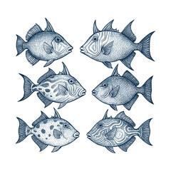 Tropical Reef Fish Set. Hand Drawn Marine Fish Vintage Engraving Illustration