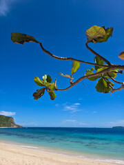 beautiful white sand beach on sunny day near turquoise tropical wave sea. philippines islands. vertical