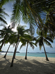 beautiful white sand beach with palm trees on sunny day near turquoise tropical wave sea. philippines islands. vertical