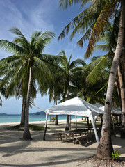 beautiful white sand beach with palm trees and white tents for picnic on sunny day near turquoise tropical wave sea. philippines islands. vertical