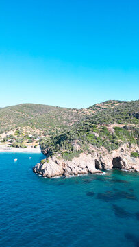 Limnionas