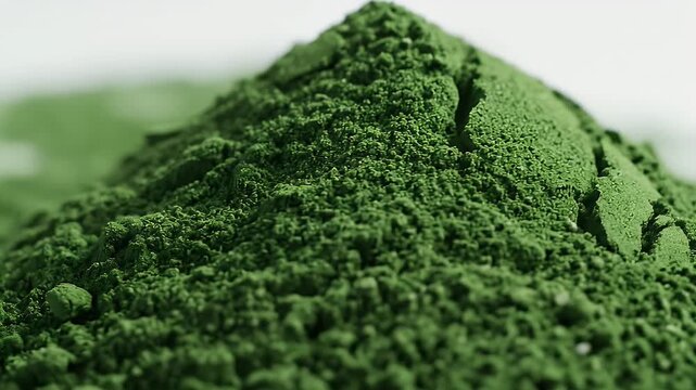Green Superfood Powder Pile Super Close Up