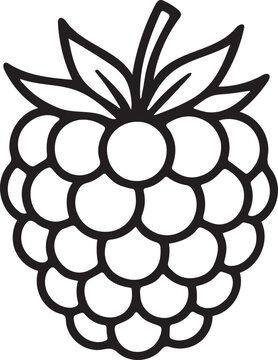 Raspberry outline vector icon