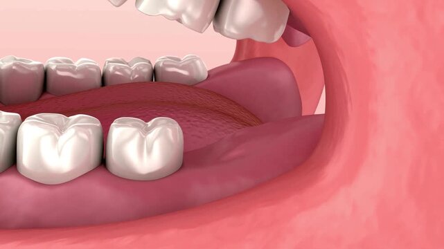 Close-up of a gaping mouth revealing white teeth, pink gums, and a bright tongue inside inside gums