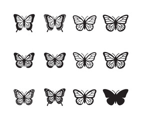 Set of twelve detailed butterfly illustrations showing different patterns and wing configurations © MdJahid