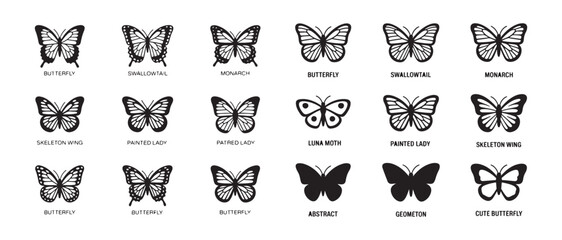 Set of eighteen different butterfly graphics including silhouettes and detailed species labels © MdJahid