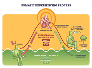 Somatic experiencing process outline, trauma vortex atop an arousal curve, with figures and arrows guiding pendulation and titration within the window of tolerance, transparent background.