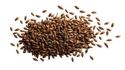Cumin Seeds Scattered on Transparent Background