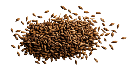 Cumin Seeds Scattered on Transparent Background