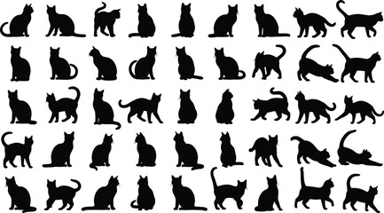 Black cat silhouette collection, 40 feline poses, walking, sitting, stretching, playful postures, expressive design, animal behavior icons © Fahim Creative