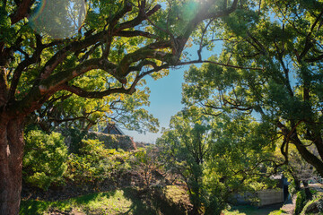 Kumamoto Castle Area Forest Park View in Japan