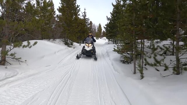A tourist enjoys a snowmobile ride down a snowy trail through a dense northern forest, offering a front-facing point-of-view perspective