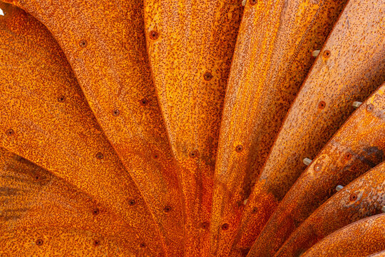 Old steel sheet and rusty surface. To remove the rust, use a wire brush, sandpaper or a scraper. Next, clean and dry the surface. Apply a primer that is designed for use on rust. Then paint, using a r
