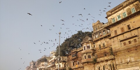Varanasi - The Spiritual Capital of India, Birds flying over the vintage architectural structures of Kashi Ghats