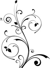 Elegant black and white floral design