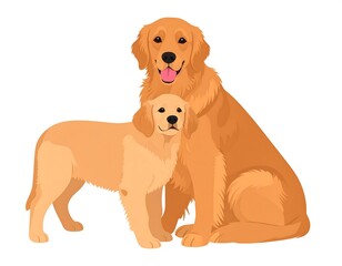 Two golden retrievers, one adult and one puppy, sitting close together