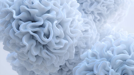 close up of a soft coral