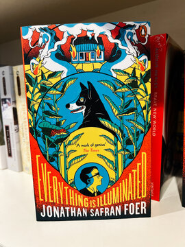 Everything Is Illuminated book cover by Jonathan Safran Foer with bold, colorful artwork